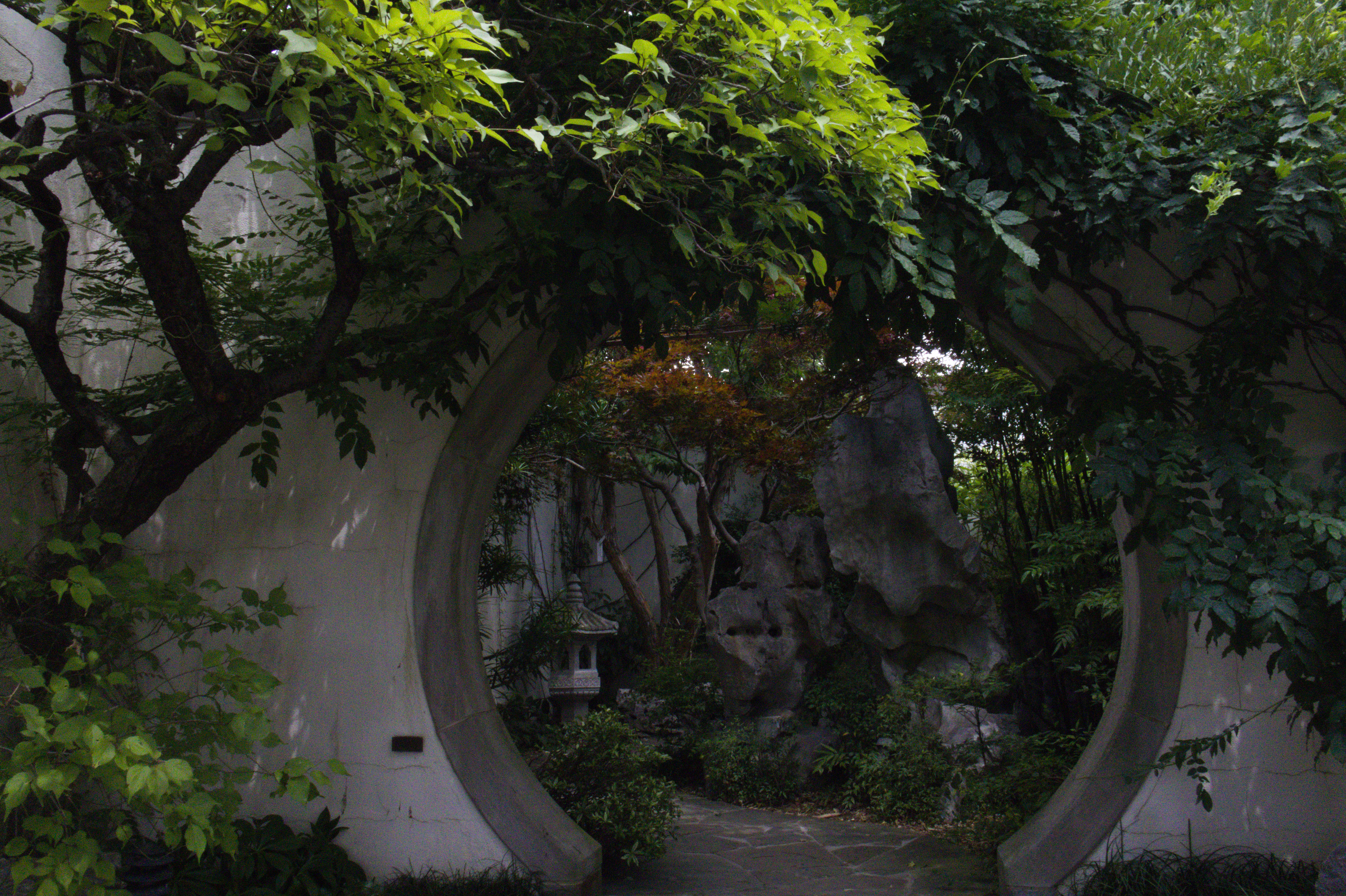 National Bonsai Museum